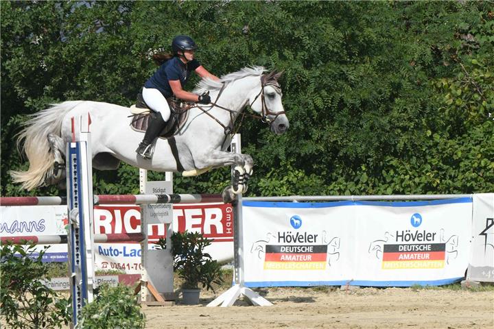 Ein Jahrhundert Reitsport Am Jubiläumstag werden unter anderem die verschiedenen Reitsportarten vorgeführt.Fotos: and